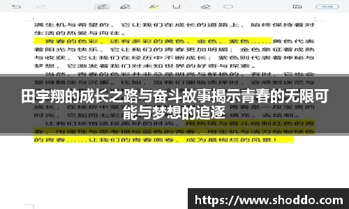 星空XK体育