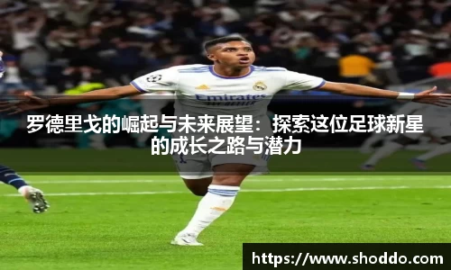 星空XK体育