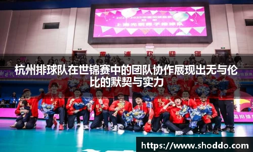 XK星空体育官网