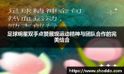 XK星空体育官方app下载